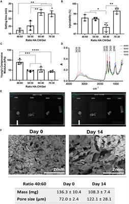 Development of Natural-Based Bone Cement for a Controlled Doxorubicin-Drug Release